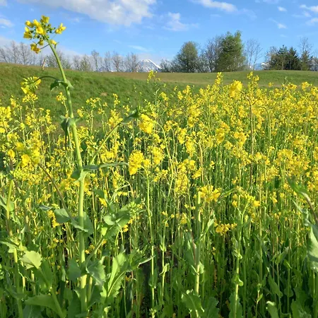 Hide-away Corinna Appartement *