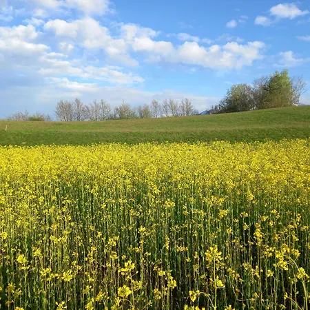 Hide-away Corinna Apartmán *