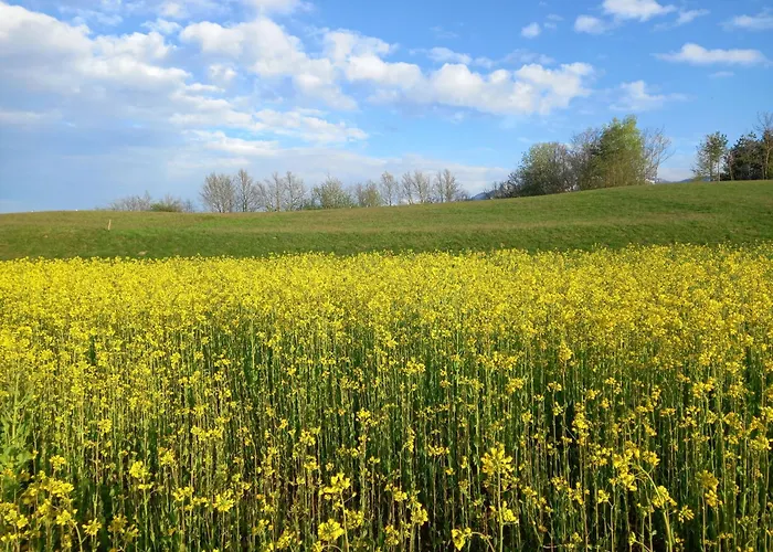 Hide-away Corinna Apartament *